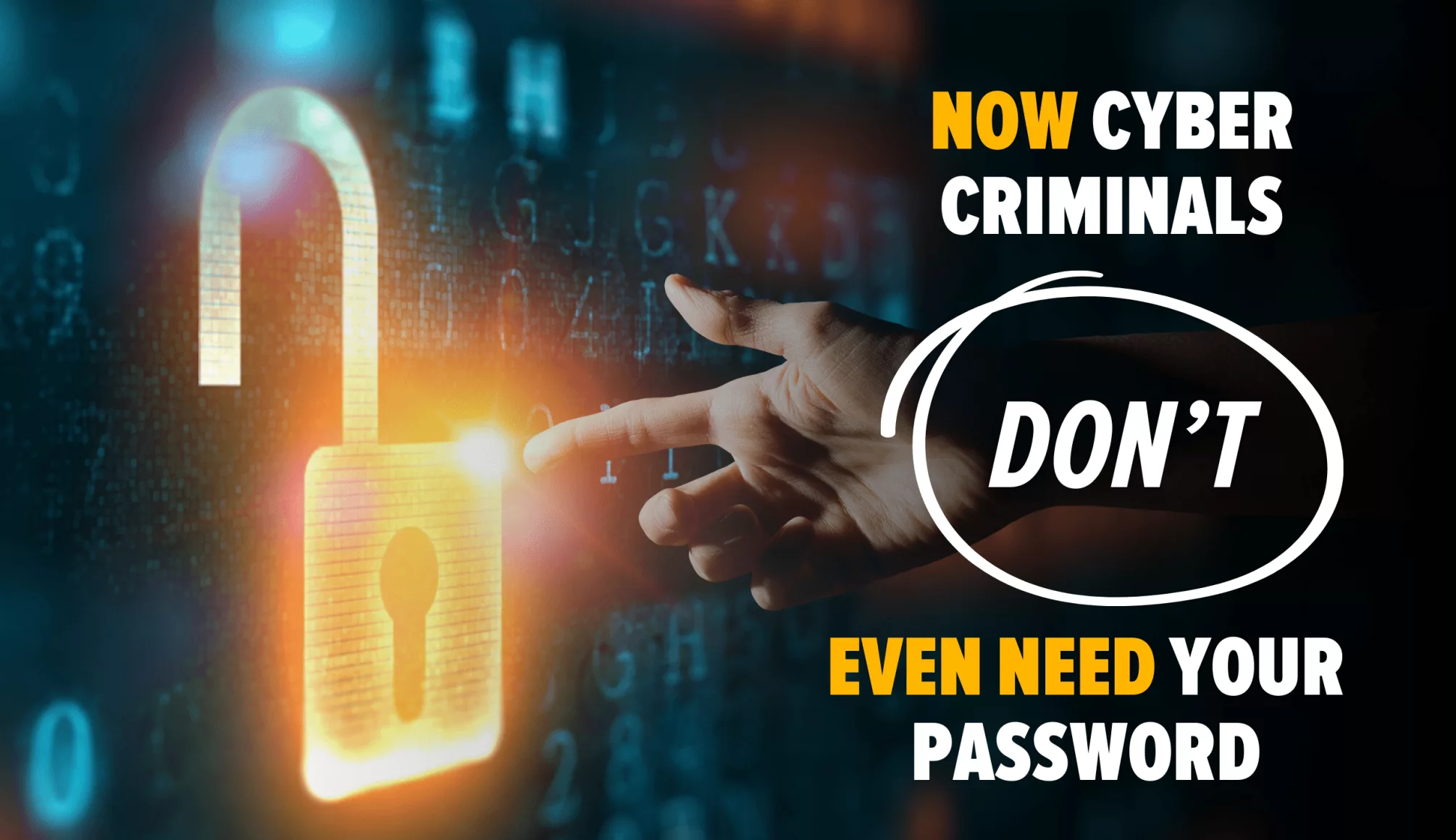 Cyber Criminals